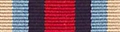 operational service medal ribbon